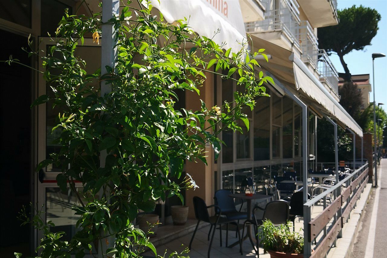 Hotel Gemma Ρίμινι Εξωτερικό φωτογραφία